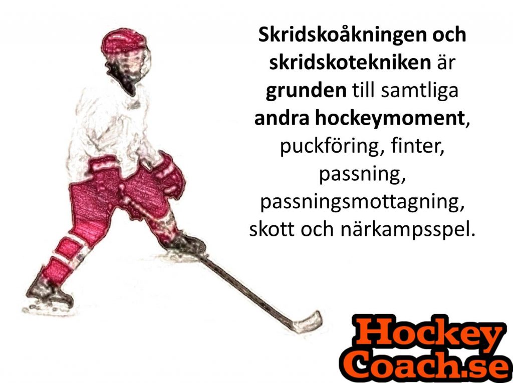 Skridskoåkning och skridskoteknik