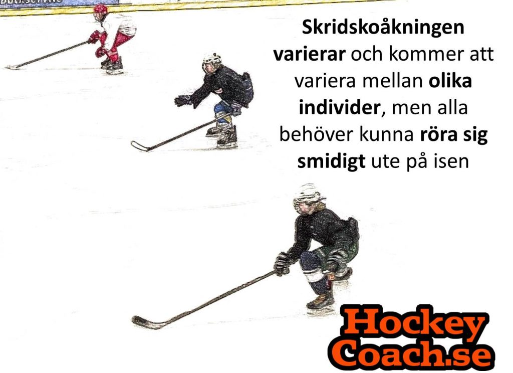 Variation i skridskoåkningen